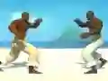 Oyunu Capoeira fighter çevrimiçi