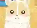 Oyunu Hamster Love çevrimiçi