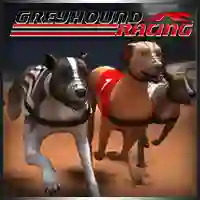 Oyunu Greyhound Racing çevrimiçi