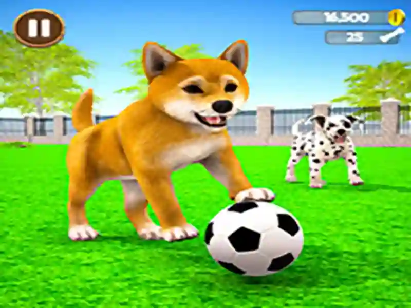 Oyunu My Virtual Dog Care çevrimiçi