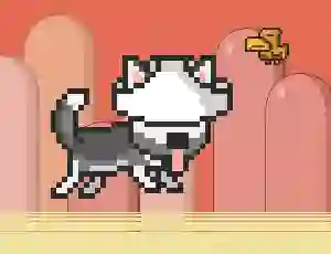 Oyunu Mr Jump Husky çevrimiçi