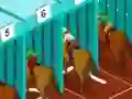 Oyunu Derby racing çevrimiçi