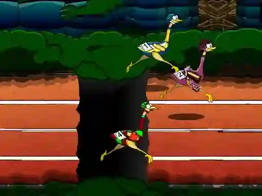 Oyunu Big Birds Racing çevrimiçi