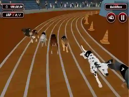 Oyunu Crazyl Dog Racing Fever çevrimiçi