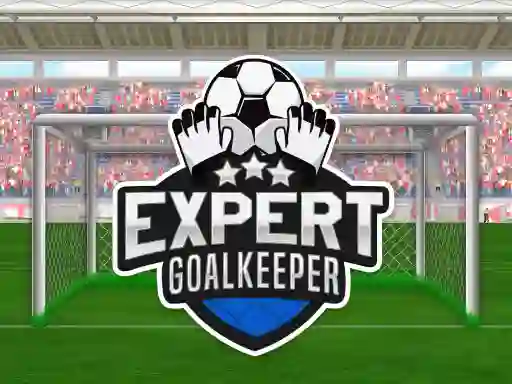 Oyunu Expert Goalkeeper çevrimiçi