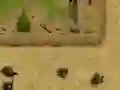 Oyunu Ambush çevrimiçi