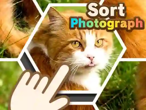 Oyunu Sort Photograph çevrimiçi