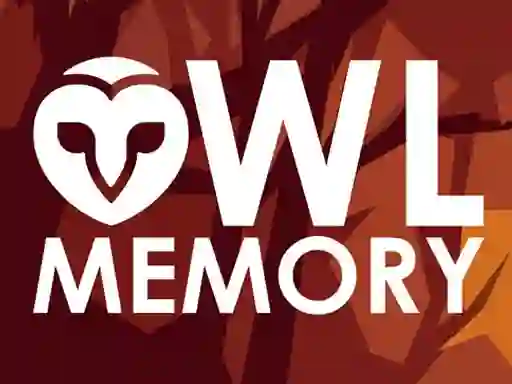 Oyunu Owl Memory çevrimiçi
