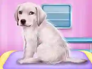 Oyunu Labrador at the doctor salon çevrimiçi