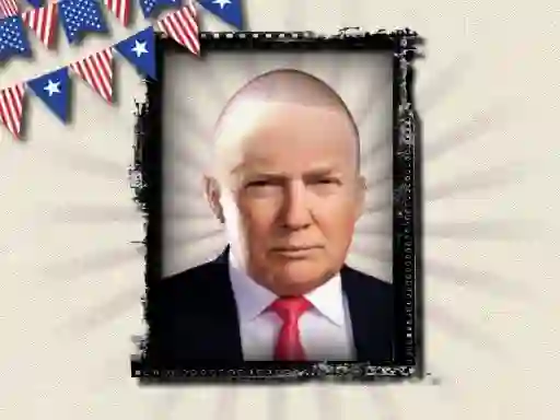 Oyunu The President of the USA çevrimiçi