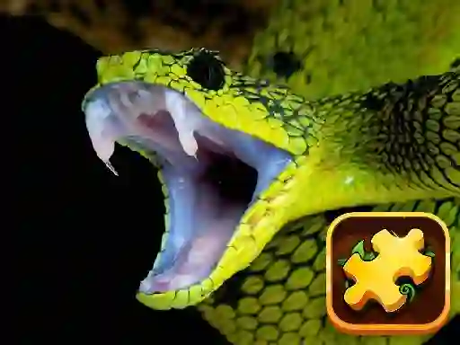 Oyunu Snake Puzzle Challenge çevrimiçi