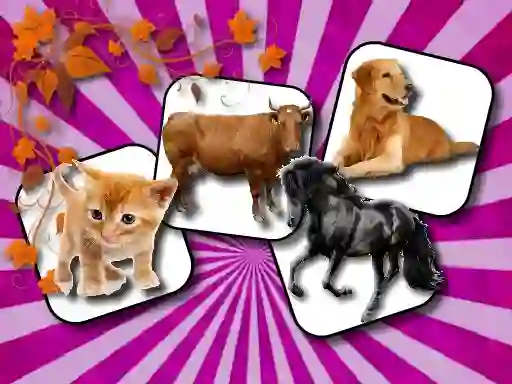 Oyunu Domestic Animal Memory Challenge çevrimiçi