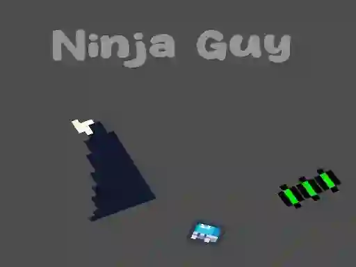 Oyunu Ninja Guy çevrimiçi