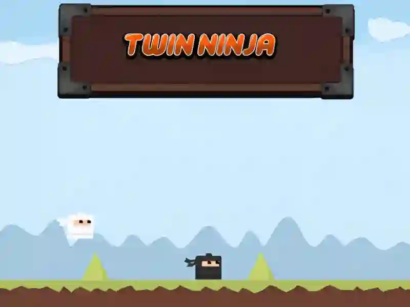 Oyunu Twin Ninja çevrimiçi