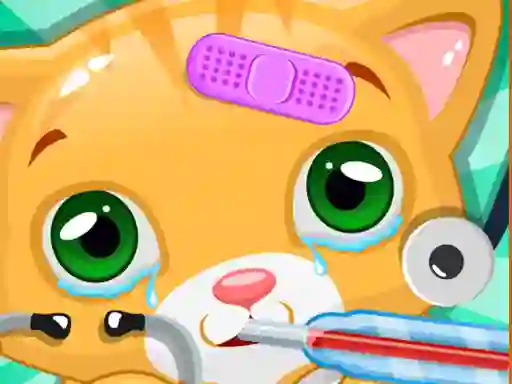 Oyunu Little Cat Doctor çevrimiçi