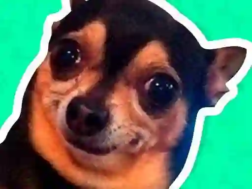 Oyunu What meme dog are you ? çevrimiçi