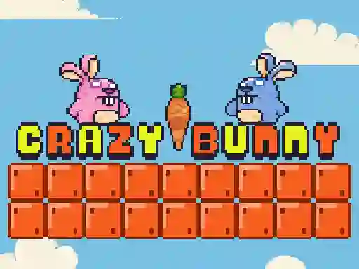 Oyunu Crazy Bunny çevrimiçi