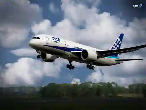 Oyunu Boeing Dreamliner Puzzle çevrimiçi