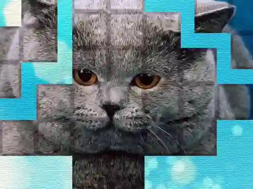 Oyunu PicPu Cat çevrimiçi