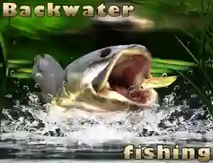 Oyunu Backwater Fishing çevrimiçi