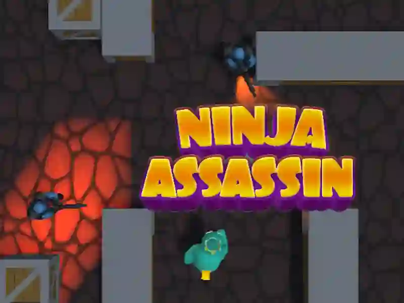 Oyunu Ninja Assassin çevrimiçi