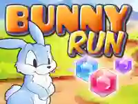 Oyunu Bunny Run çevrimiçi