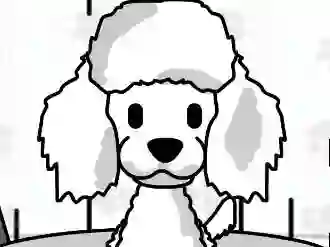 Oyunu Pampered Paws Doggy Day çevrimiçi