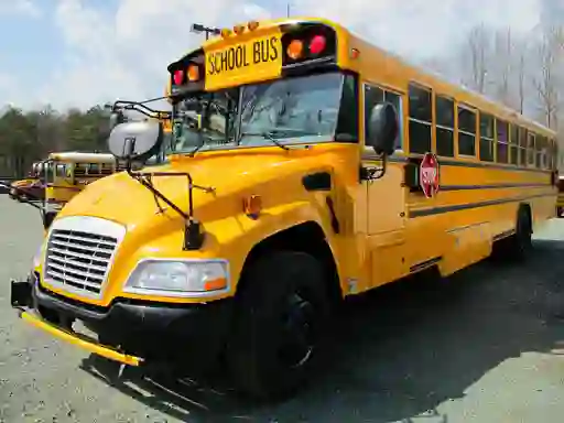 Oyunu School Buses Puzzle çevrimiçi