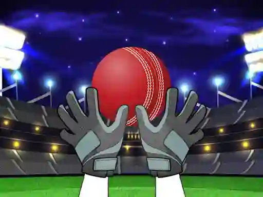 Oyunu Catch The Balls çevrimiçi