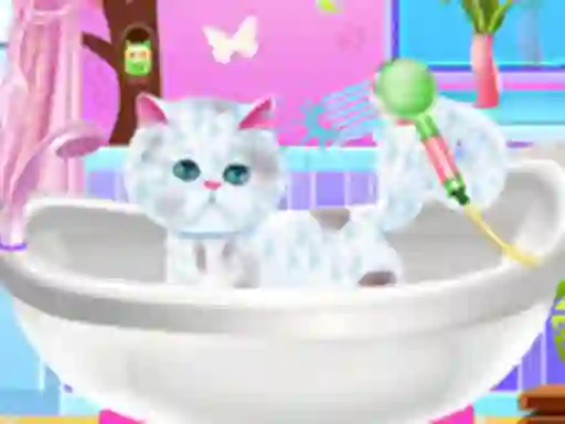 Oyunu Excellent Pet Groomer çevrimiçi