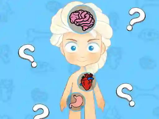 Oyunu Frozen Learning The Body Online çevrimiçi