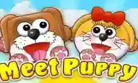 Oyunu Meet Puppy çevrimiçi