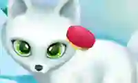 Oyunu Paws to Beauty Arctic Edition çevrimiçi