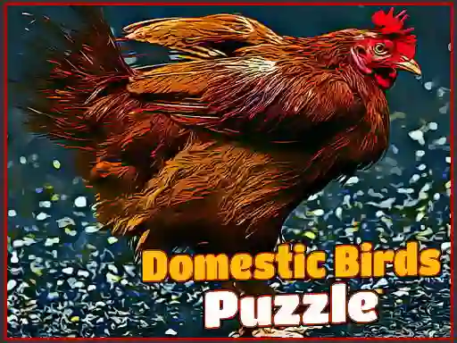 Oyunu Domestic Birds Puzzle çevrimiçi