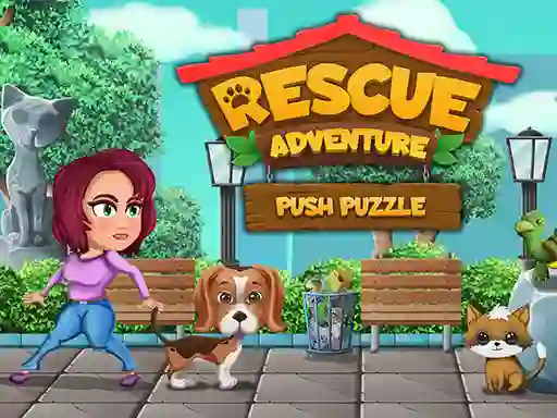 Oyunu Rescue Adventure Push Puzzle çevrimiçi