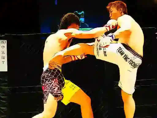 Oyunu UFC Fighting Match Jigsaw çevrimiçi
