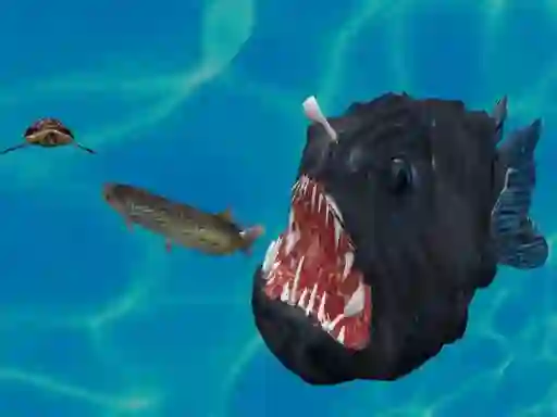 Oyunu Fish 3d çevrimiçi
