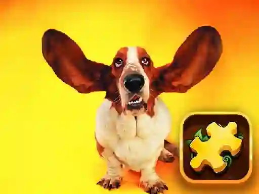 Oyunu Funny Dogs Puzzle çevrimiçi