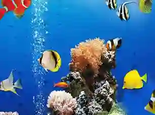 Oyunu Sea Underwater Difference çevrimiçi