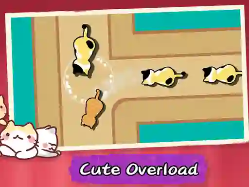 Oyunu Cat Freeway çevrimiçi