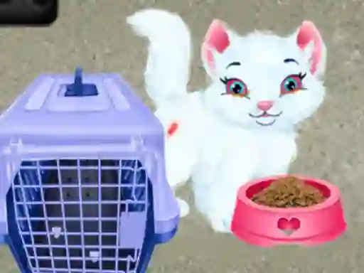 Oyunu Baby Taylor Pet Care çevrimiçi