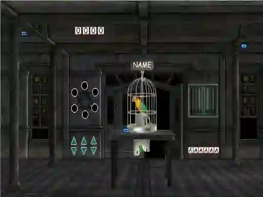 Oyunu Parrots Escape çevrimiçi