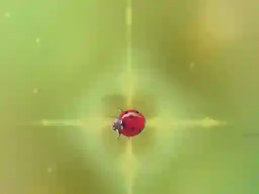 Oyunu Pest Control çevrimiçi
