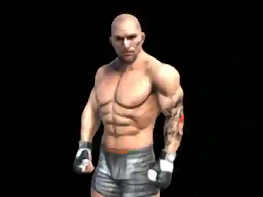 Oyunu Fight Arena Online çevrimiçi