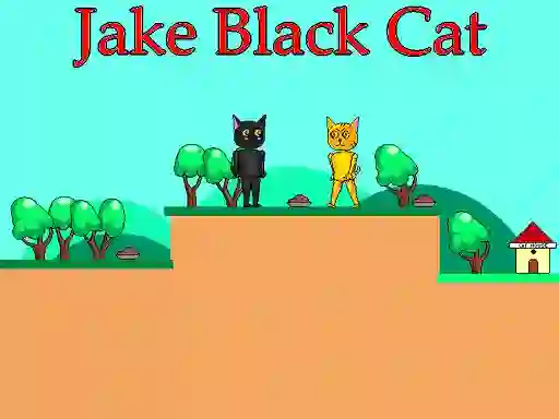 Oyunu Jake Black Cat çevrimiçi