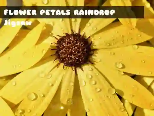 Oyunu Flower Petals Raindrop Jigsaw çevrimiçi