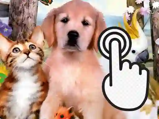Oyunu Pets Clicker çevrimiçi