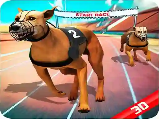 Oyunu Crazy Dog Race çevrimiçi