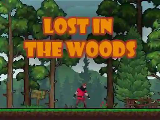 Oyunu Lost in the Woods çevrimiçi