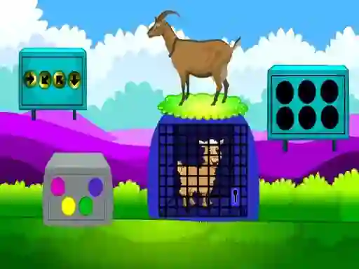 Oyunu Lamb Escape çevrimiçi